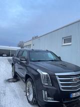 Cadillac Escalade 6.2 V8 Platinum Autom. Platinum - Cadillac Escalade in Berlin