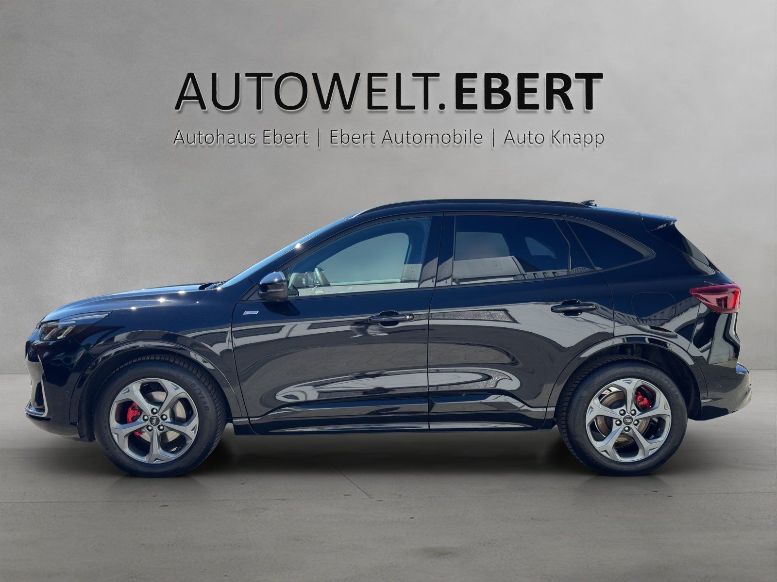 Fahrzeugabbildung Ford Kuga 1.5 ST-Line X MATRIX/ACC/KAMERA/NAVI/AHK/