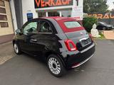 Fiat 500 Cabrio Lounge 1.2 8V Klimaautom PDC ALU - Fiat 500: Cabrio