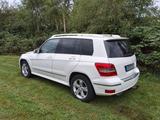 Mercedes-Benz GLK 250 CDI 4MATIC BlueEFFICIENCY - - Mercedes-Benz GLK 250 aus 2011