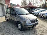 Fiat Panda 1.2 8V Classic 1.Hand - Fiat Panda Classic