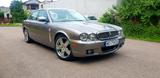 Jaguar XJ8 4.2 Liter Executive - Jaguar XJ8 Gebrauchtwagen