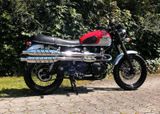Triumph Scrambler T 100 EFI Top Zustand! - Angebote entsprechen deinen Suchkriterien