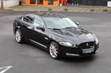 Jaguar XF 5.0 V8 RS Meridian/Sitzlüftung/Kamera/eGSD - Jaguar XF: 5.0