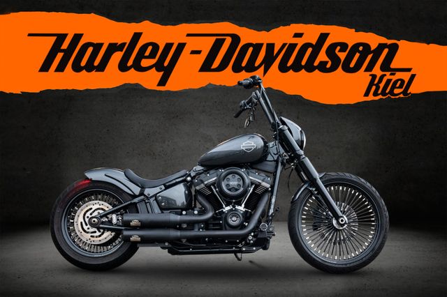 Fahrzeugabbildung Harley-Davidson STREET BOB FXBB - 21" TTS BIG-SPOKE  JEKILL&HYDE