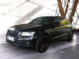 Audi SQ5 3.0 TDI plus quattro|NAVI|BI-XENON|KAMERA*** - Audi SQ5 in Kassel