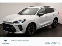 Cupra Terramar - Vorschau Bild 1