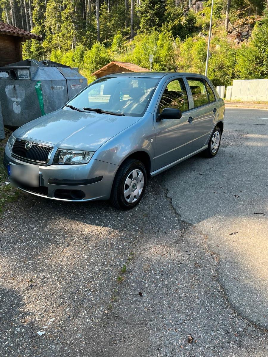 Skoda Fabia 2007 — photo 10