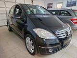 Mercedes-Benz A 170 Avantgarde/LEDER/5-türig/TÜV 06.2026!!! - Mercedes-Benz A 170 in Dresden