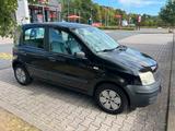 Fiat Panda 1.1 Benzin  sparsam & zuverlässig - Fiat Panda in Oldenburg