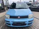 Fiat Panda 1.2 8V MyLive - Fiat Panda: Blau