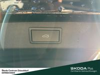 Skoda Kodiaq - Vorschau Bild 13