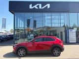 Mazda CX-30 Exclusive-Line AWD 360° Kamera Bose Allwet - Mazda CX-30 in Leipzig