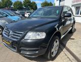 Volkswagen Touareg V6 Kong - Volkswagen Touareg: Kong