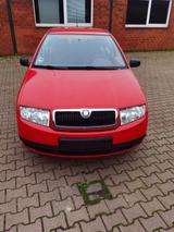 Skoda fabia 1,4 lpg - Skoda Fabia mit LPG-Antrieb