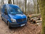 Mercedes-Benz Mercedes Sprinter 313 CDI - Mercedes-Benz Sprinter: Van, Merc