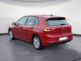 Volkswagen Golf Life 1,5 TSI OPF 6-Gang - Volkswagen Golf: 5.6