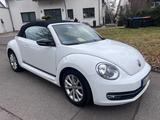 Volkswagen New Beetle 1.2 Cabrio - VW New Beetle von privat