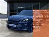 Cupra Terramar VZ 1.5 e-Hybrid 272 PS DSG HD-Matrix, S - graue Cupra Terramar