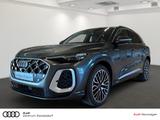 Audi SQ5 TFSI Luftfahrwerk Pano Sitzbelüftung uvm - Audi: Luftfahrwerk