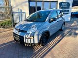 Fiat Panda Hybrid 1.0 GSE 51kw - Fiat Panda Gebrauchtwagen Essen
