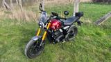 Triumph Speed 400 mit Navi und Gepäckträger  - TRIUMPH SPEED 400