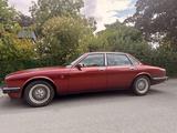 Jaguar XJ6 / XJ40 (1993) | Daily-driver - Jaguar XJ40 aus 1993