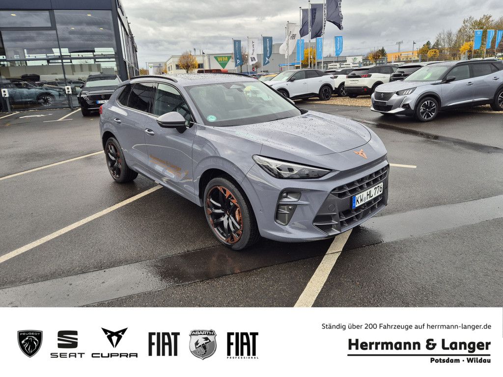 CUPRA Terramar VZ 2.0 TSI 4Drive DSG SHZ LHZ Full Link