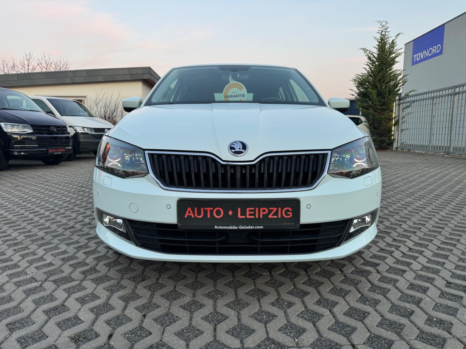 Skoda Fabia Clever,Klima,Sitzhz,ACC-Tempo,PDC,Alu,DAB
