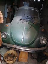 Volkswagen Beetle - Volkswagen Beetle: Grün
