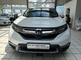 Honda CR-V 2.0 i-MMD HYBRID 2WD Lifestyle - Honda CR-V in Wuppertal