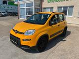 Fiat PANDA 1,3 MultiJet 95 WILD 4x4 vin 938 - Fiat Panda mit Diesel-Antrieb: 1.3
