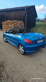Peugeot 206 CC 110 - - Peugeot 206 in Nürnberg