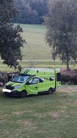 Renault Trafic 2.0 120 PS Kastenwagen Wohnmobil - Angebote entsprechen deinen Suchkriterien