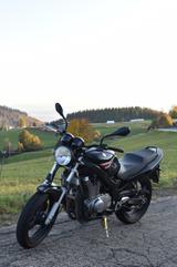 Suzuki GS 500 - SUZUKI GS 500