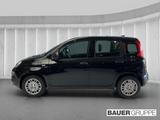 Fiat Pandina 1.0 GSE Hybrid 48 kW Icon - schwarze Fiat New Panda