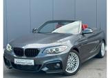 BMW 228i A M-SPORT 8-GANG LEDER XENON SHZ NAVI PDC - BMW Gebrauchtwagen von 2015