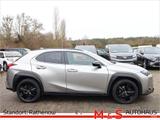 Lexus UX 2.0 250 h - Lexus Gebrauchtwagen