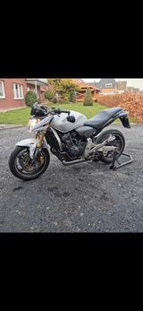 Honda CB600 Hornet PC41 - HONDA HORNET 600 PC41