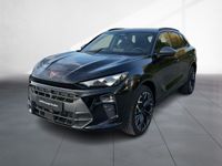 Cupra Terramar - Vorschau Bild 2