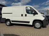 Citroën Jumper Kasten 30 L1H1 Profi BlueHDi 110 - Citroën Jumper: Kasten