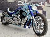 Harley-Davidson V-Rod Custom Design *Showbike/Airride/260er* - Motorräder in Frankfurt
