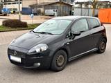 Fiat Punto 1,4 TÜV Neu - gebrauchte Fiat Punto aus dem Jahr 2008