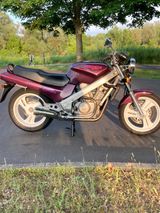 Honda NTV 650 - HONDA NTV