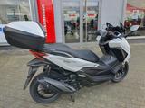 Honda FORZA 350 NSS350 + 6 Jahre Garantie - NEU - 0KM - Offers