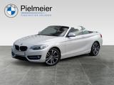BMW 228i Sport Line RFK HiFi NaviProf Tempomat 18J - BMW 228 mit Benzin-Antrieb: Cabrio