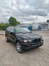 BMW X5 4.4i - - BMW X5 aus 2002