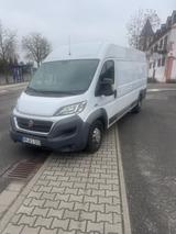 Fiat Ducato - Fiat Ducato in Mannheim
