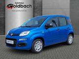 Fiat Panda MY25 1.0*Klima|Tempomat|Bluetooth|PDC* - Fiat Panda in Rostock