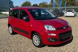 Fiat New Panda mit Klima und 1 Jahr Garantie - rote Fiat New Panda